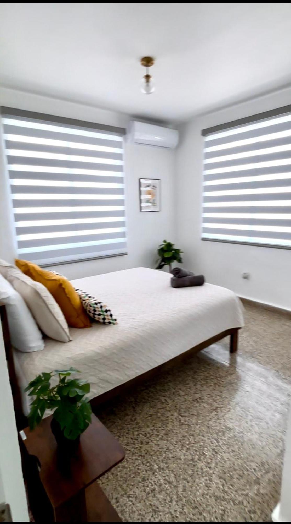 Urban Tropical Oasis In San Juan Apartment Екстериор снимка
